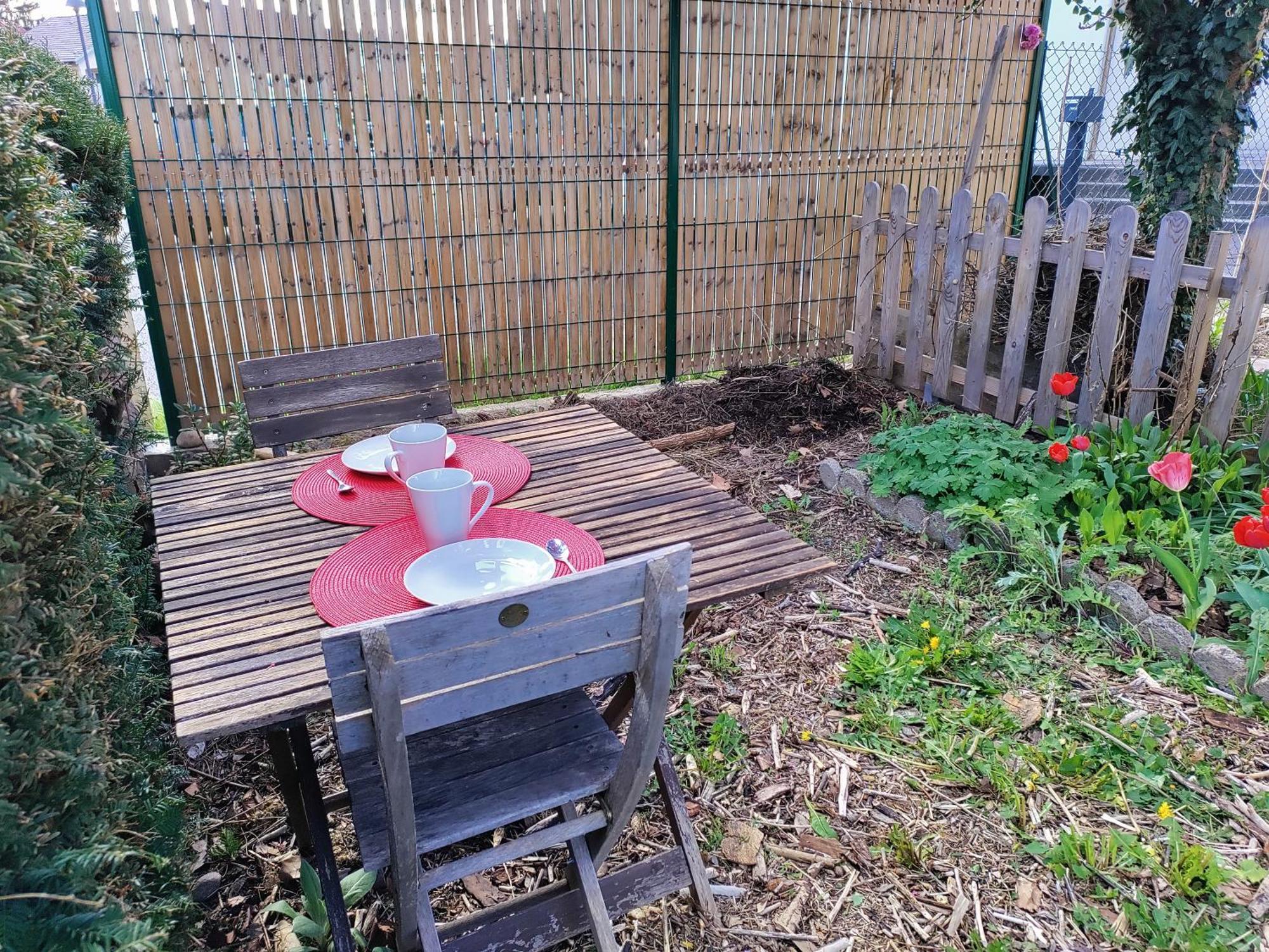 Les Coquelicots, Calme, Jardin Apartment Colmar Luaran gambar